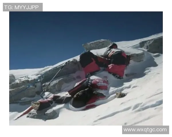 竞技体育的残酷真相：挑战极限背后的痛苦与牺牲