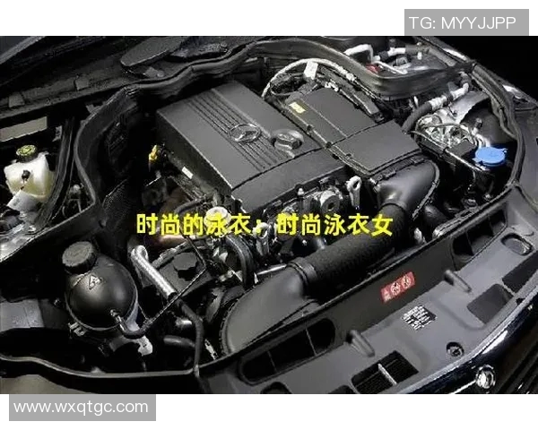 时尚潮流中的泳衣选择与搭配技巧,展现夏日清凉与自信魅力