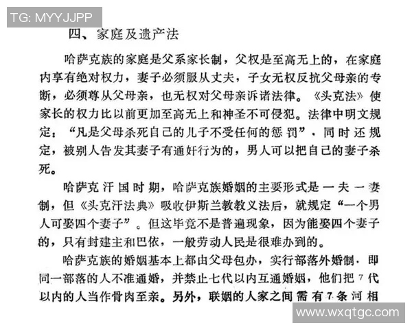 哈萨克斯坦语言的历史演变及其在现代社会中的地位和影响