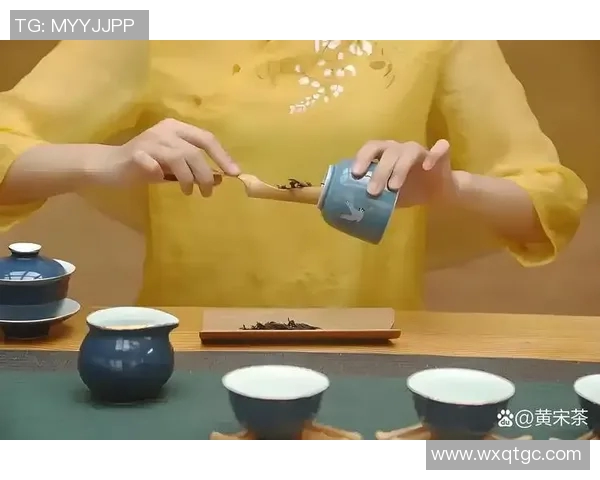 茶堂里的时光：品味文化、交流心灵与传统茶艺的完美融合