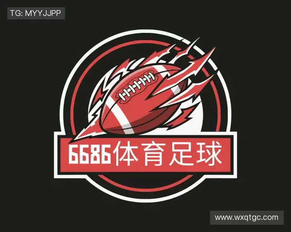 介绍6686